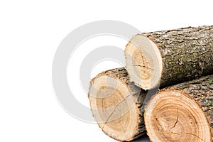 Logs on white background, studio photo, acacias tree