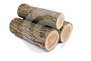 Logs on white background, studio photo, acacias tree