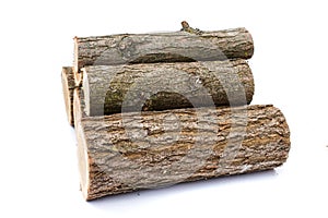 Logs on white background, studio photo, acacias tree