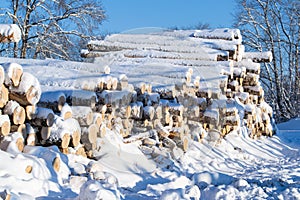 Logs of wood buried in snow