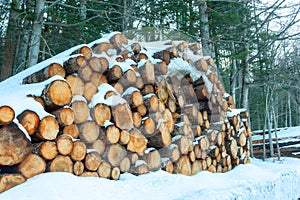 Logs of wood cut and stacked in the mountains under the snow