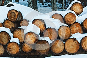 Logs of wood cut and stacked in the mountains under the snow