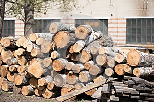 Logs in a wood processing plant.Woodworking industry