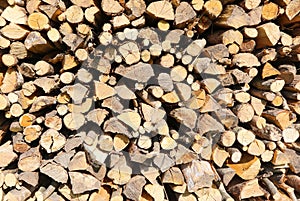 logs of wood in the woodshed to heat the house in winter