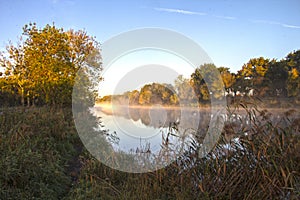 Loire view of river marsh