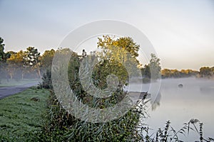 Loire view of river marsh