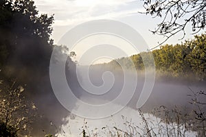 Loire view of river marsh