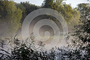 Loire view of river marsh