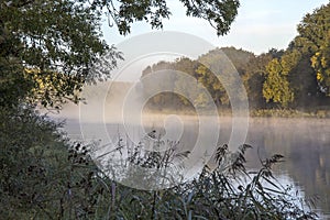 Loire view of river marsh