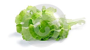 Lolla bionda lettuce salad, paths photo