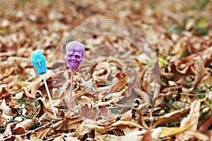 Lollipops in shape of skull and coffin, at autumn leaves on the ground. Concept of mystical holiday like halloween or mexican el d photo