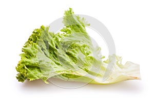 Lollo bionda lettuce