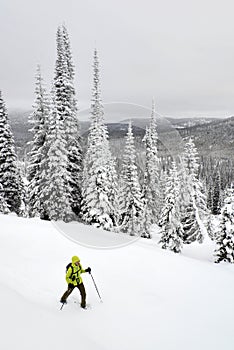 Lolo Pass snowshoeing