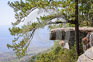 Lom Sak cliff at Phu Kra Dueng in Thailand photo