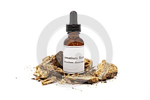 Lomatium tincture and dried root