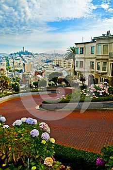 Lombard Street San Francisco