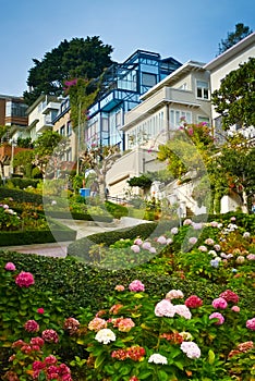 Lombard street from below