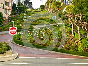 Lombard street from below