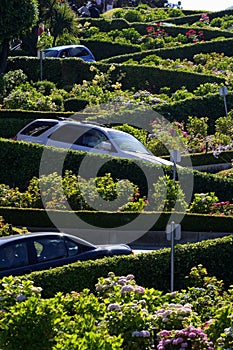 Lombard Street, the crookedest street in the world, San Francisco, California photo
