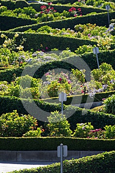 Lombard Street, the crookedest street in the world, San Francisco, California photo