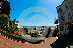 Lombard Street Curves, San Francisco