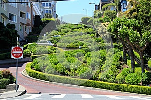 Lombard street on Russian hill, San Francisco