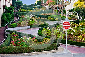 Lombard Street in San Francisco photo