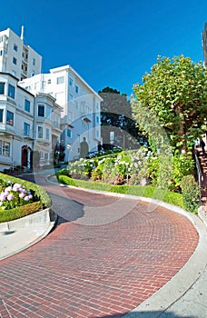 Lombard street in San Francisco photo