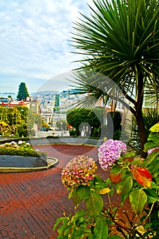 Lombard Street San Francisco