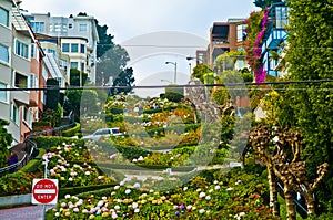 Lombard Street San Francisco photo