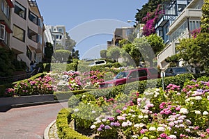 Lombard Street San Francisco photo