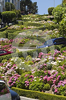 Lombard Street San Francisco