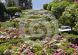 Lombard Street San Francisco