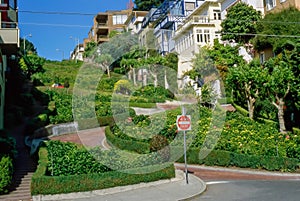 Lombard Street, San Francisco