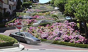 Lombard Street, San Francisco, California, Estados Unidos photo