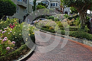 Lombard Street at San Francisco California in the morning