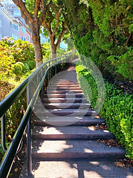 Lombard street Walkway