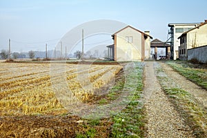 Lomellina Countryside, wintertime. Color image