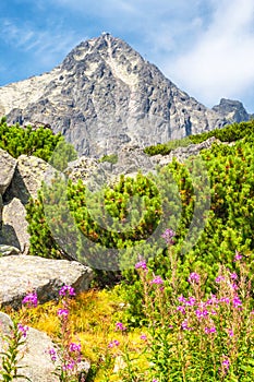 Lomnický štít v Národnom parku Vysoké Tatry na Slovensku.