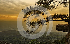 Lomsak cliff during sunset in Phukradung national park