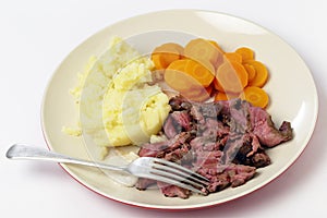 London broil meal with fork photo