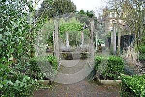 Chelsea physic garden formal path around bushes and flowerbeds photo