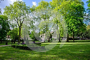 London city / England: Trees in Russell Square park