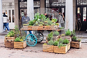 Covent Garden Apple Market London, trolley with plants and herbs