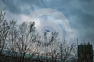 London dark sky with clouds and other trees at south bank