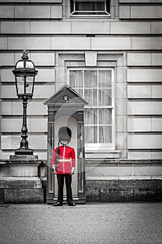 The Queen's Guard on duty at Buckingham Palace, the official res