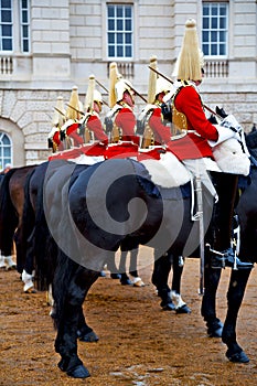 in london england horse