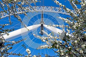 London Eye, ferris wheel, stands tall against deep blue spring s