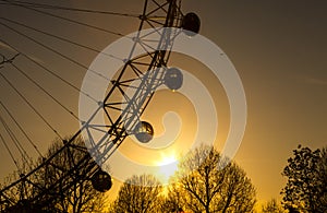 London Eye at Sunset