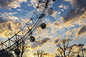 London Eye with a Tree with yellow sunset and blue sky